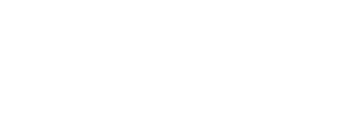 Artemis Factor Logo White